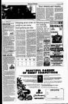 Kerryman Friday 22 April 1994 Page 15