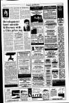 Kerryman Friday 29 April 1994 Page 25