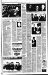 Kerryman Friday 03 February 1995 Page 17
