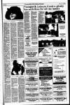 Kerryman Friday 07 July 1995 Page 15