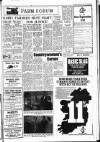 Drogheda Independent Friday 05 January 1979 Page 11