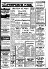 Drogheda Independent Friday 15 February 1980 Page 23