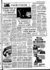Drogheda Independent Friday 04 April 1980 Page 13