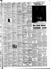 Drogheda Independent Friday 04 April 1980 Page 15