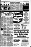 Drogheda Independent Friday 13 July 1984 Page 3