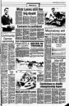 Drogheda Independent Friday 13 July 1984 Page 17