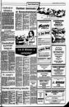 Drogheda Independent Friday 20 July 1984 Page 17