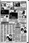 Drogheda Independent Friday 04 January 1985 Page 19