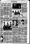 Drogheda Independent Friday 11 January 1985 Page 19