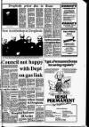 Drogheda Independent Friday 25 January 1985 Page 3
