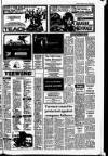 Drogheda Independent Friday 05 April 1985 Page 21