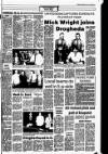 Drogheda Independent Friday 14 June 1985 Page 17