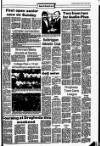 Drogheda Independent Friday 25 October 1985 Page 19