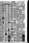 Drogheda Independent Friday 01 November 1985 Page 15