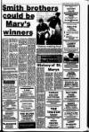 Drogheda Independent Friday 01 November 1985 Page 17