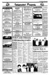 Drogheda Independent Friday 08 April 1988 Page 6