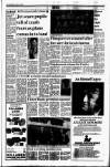 Drogheda Independent Friday 07 April 1989 Page 3