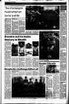 Drogheda Independent Friday 07 April 1989 Page 19