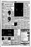 Drogheda Independent Friday 16 June 1989 Page 3