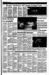 Drogheda Independent Friday 16 June 1989 Page 15