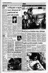 Drogheda Independent Friday 01 September 1989 Page 7