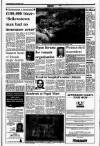 Drogheda Independent Friday 06 October 1989 Page 15