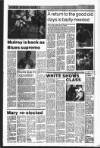 Drogheda Independent Friday 01 February 1991 Page 10
