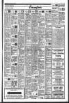 Drogheda Independent Friday 01 February 1991 Page 19