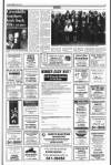 Drogheda Independent Friday 03 May 1991 Page 29