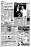 Drogheda Independent Friday 03 January 1992 Page 15