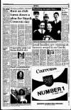 Drogheda Independent Friday 03 July 1992 Page 13