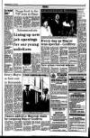 Drogheda Independent Friday 16 July 1993 Page 15