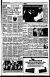 Drogheda Independent Friday 16 July 1993 Page 17