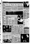 Drogheda Independent Friday 31 December 1993 Page 15