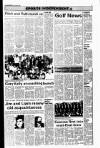 Drogheda Independent Friday 22 July 1994 Page 17