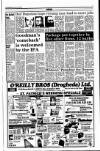 Drogheda Independent Friday 17 March 1995 Page 3