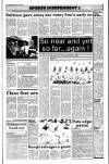 Drogheda Independent Friday 14 April 1995 Page 23