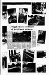 Drogheda Independent Friday 01 September 1995 Page 5