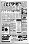 Drogheda Independent Friday 08 December 1995 Page 3