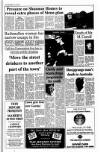 Drogheda Independent Friday 19 July 1996 Page 3