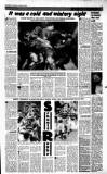 Sunday Tribune Sunday 19 January 1986 Page 13