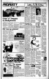 Sunday Tribune Sunday 16 February 1986 Page 29