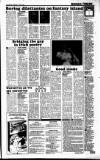 Sunday Tribune Sunday 13 April 1986 Page 21