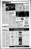 Sunday Tribune Sunday 11 May 1986 Page 29