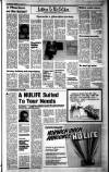Sunday Tribune Sunday 15 June 1986 Page 29