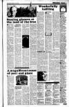 Sunday Tribune Sunday 06 July 1986 Page 19