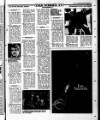 Sunday Tribune Sunday 06 July 1986 Page 43