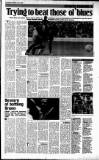 Sunday Tribune Sunday 13 July 1986 Page 13