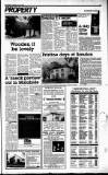 Sunday Tribune Sunday 13 July 1986 Page 29
