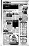 Sunday Tribune Sunday 20 July 1986 Page 29